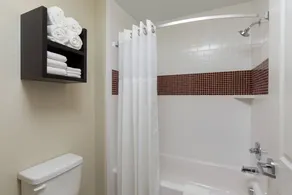 1 Bdrm Suite 2 Bed Other Nonsmoking - Image 5