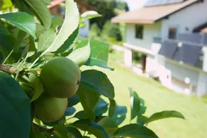 Spettacolare casa adatta alle famiglie con giardino e terrazza | Vista sul lago - Image 5