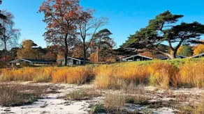 Maison avec sauna et jacuzzi | Plage à proximité | Avec animaux autorisés - Image 5