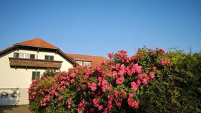 Holiday apartment with terrace | Good for workation - Image 4
