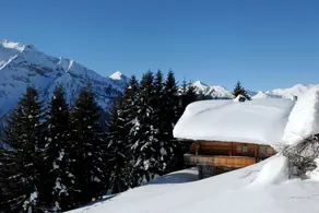 Ferienhaus mit Terrasse | Bergblick - Image 4