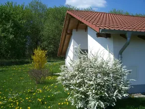 Family-oriented pleasant house with terrace & garden | Garden view | Good for workation | Dogs allowed - Image 4
