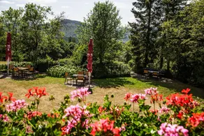 Appartamento adatto alle famiglie con griglia, giardino e sauna | Vista sul giardino | Accetta animali domestici - Image 5