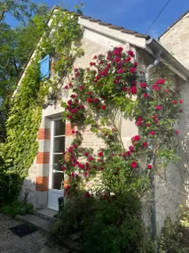 Family-oriented charming cottage with pool, garden & hot tub | Garden view | Pets are welcome - Image 2