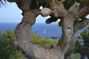 Family-oriented holiday apartment with pool & garden | Water view - Image 3