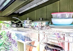 Rustic Vacation Rental Surrounded by Rainforest close to Volcanoes National Park, Hawaii - Image 3