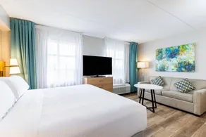 1 King Studio Suite Full Kitchen Sofa Bed - Image 2
