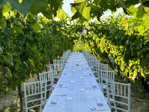 Agriturismo Oasi Biologica con ristorante: Appartamento Castignano - Image 4