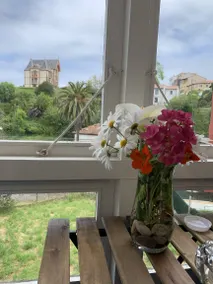 Holiday apartment with garden | Nature view - Image 5