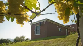 Family-oriented house with terrace, barbecue & garden | Pets allowed - Image 4