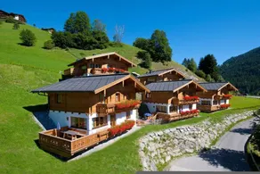 Chalet with terrace, sauna & barbeque - Image 5