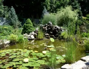 Peaceful Bed and Breakfast Accommodation for Two near Whitewater, Wisconsin - Image 5