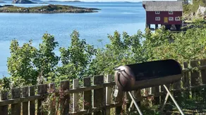 House with terrace, sauna & garden | Dogs allowed - Image 5