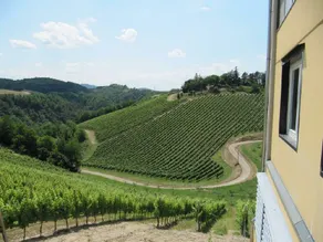 Podere Riosto Cantina&Agriturismo: Doraluce - Image 3