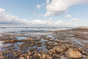 Appartamento con giardino e griglia | Vista sul mare | Ideale per il telelavoro - Image 5