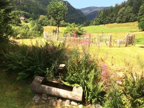 Holiday Home Feldbergblick - Image 5