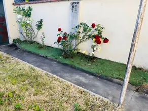 Family-oriented charming cottage with garden & barbecue | Good for workation | Dogs allowed - Image 5