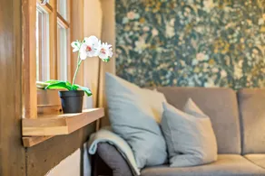 Apartment with garden - Image 3
