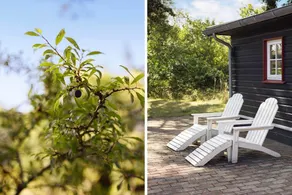 Child-friendly house with terrace & barbecue | Sea view | Dogs allowed - Image 3