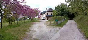 House with BBQ, garden & terrace | Garden view - Image 5