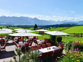Appartamento con terrazza, sauna e barbecue - Image 5