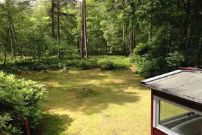 Bungalow with garden & barbecue | Pets are welcome - Image 3