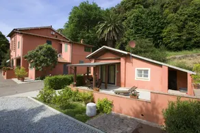 Bonifica della Casa Rossa: Mimosa - Image 3
