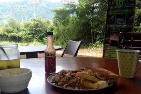 Charming Cabin in a Beautiful Rainforest Setting near Dominical, Costa Rica - Image 3