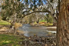 Cozy Cottage Retreat in the Lush Goobarragandra Valley, Tumut, New South Wales - Image 5