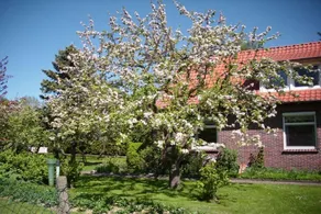 Holiday home with garden - Image 3