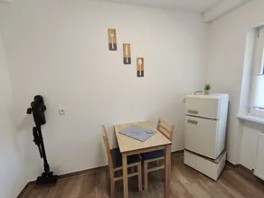 Flat with terrace & garden - Image 4