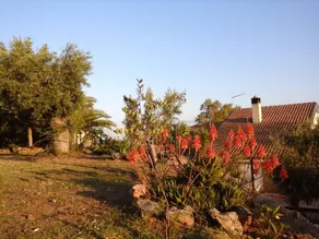 Chiai Francesco: Camera 5 - Image 2