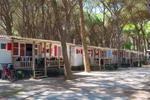 Mobil home avec jardin, sauna et terrasse - Image 4