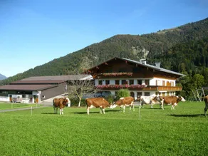 Bio-Bauernhof Oberhochstätt, Familie Schuster - Image 2