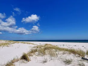 "Apelone" - 300m from the sea - Image 3