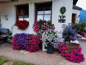 Landhaus Floridani - Image 3