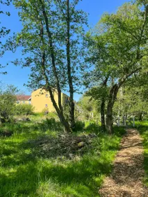 Colourful flat near beach and nature - Image 4