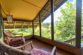 Mana Loli Sanctuary - Image 5