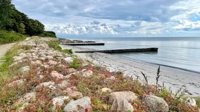Dream home on Møn with sea and star view - Image 3