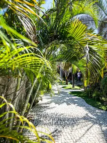 Family-oriented dedicated room with garden, pool & terrace | Pool view | Dogs allowed - Image 3