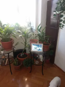 Appartement de vacances | Avec animaux autorisés - Image 2
