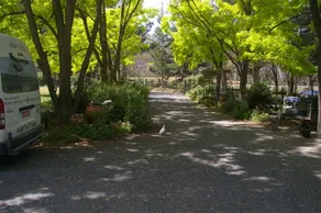 Farm stay... WIne Tours (Wyadra) - Image 4