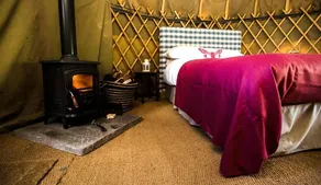 Inviting Yurts with Twinkling String Lights in Slane, Ireland - Image 3