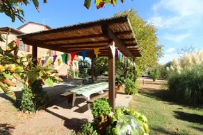 Typical villa with pigeon house known as “piccionaia” 2 km from Marciano della Chiana, in a hilly an - Image 4