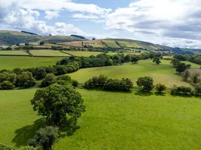 Beautiful Pod by the Irfon River for a Unique Glamping Getaway near Builth Wells, Wales - Image 5