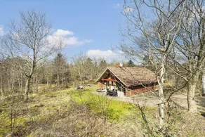 Ample holiday home with terrace, sauna & barbecue | Pet-friendly - Image 3