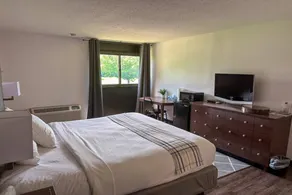 Wohnung | Ideal für Homeoffice | Hunde erlaubt - Image 2