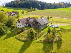 Spaziosa casa totalmente attrezzata con sauna, giardino e griglia | Vista sulla natura - Image 5