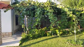 House with terrace, barbeque & garden | Next to the beach - Image 4