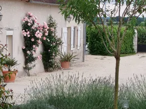 Cottage with barbecue - Image 2